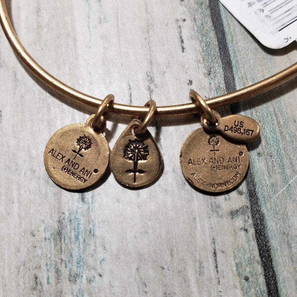 Alex and Ani Energy Bracelet. - Picture 4 of 5